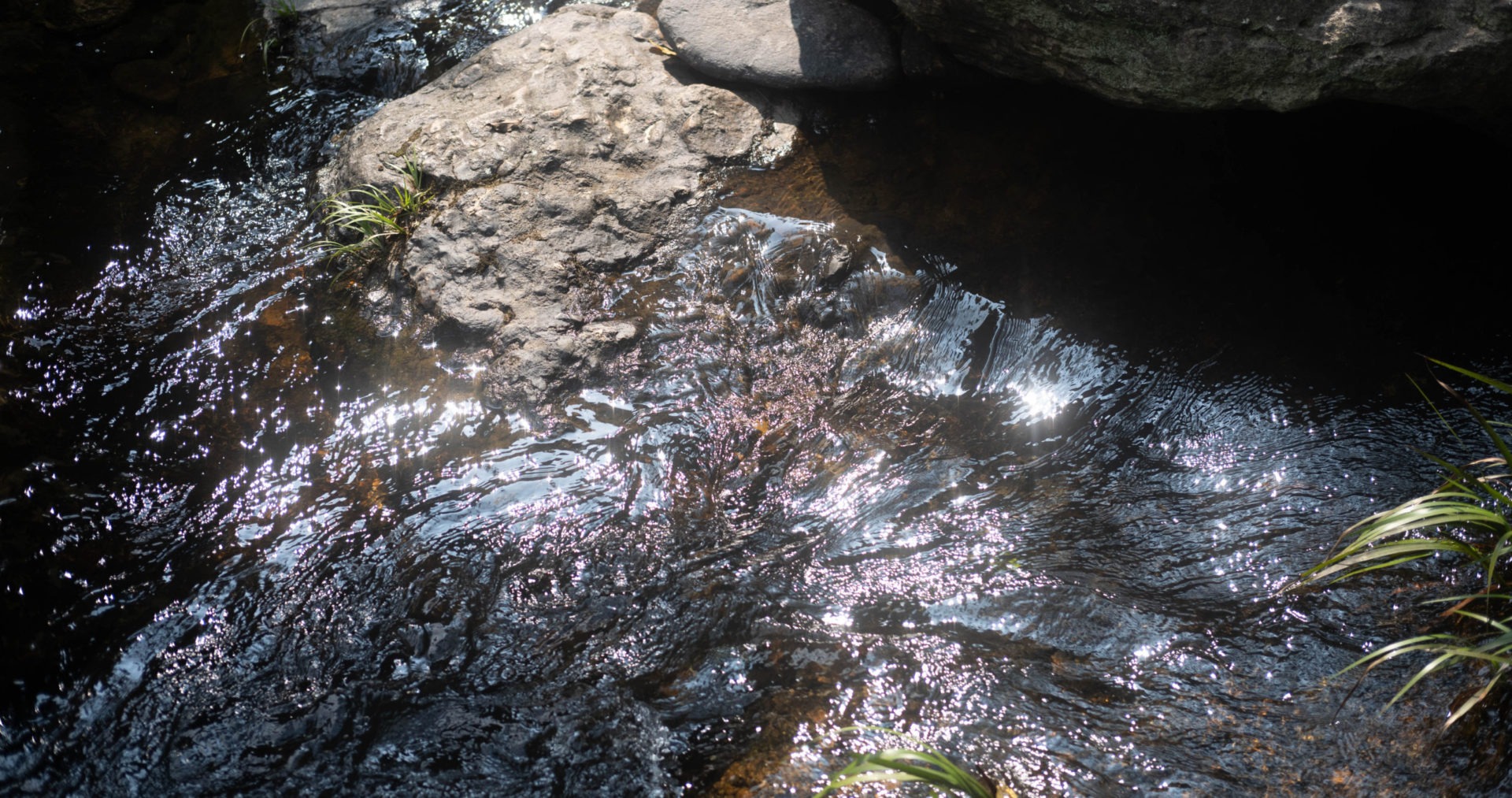 A pool at Bridal Falls, near Tai Po, Hong Kong