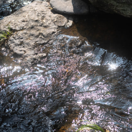 Pool at Bridal Falls